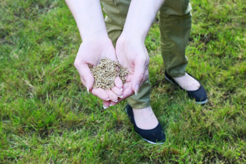 Clean Lawn Before Winter