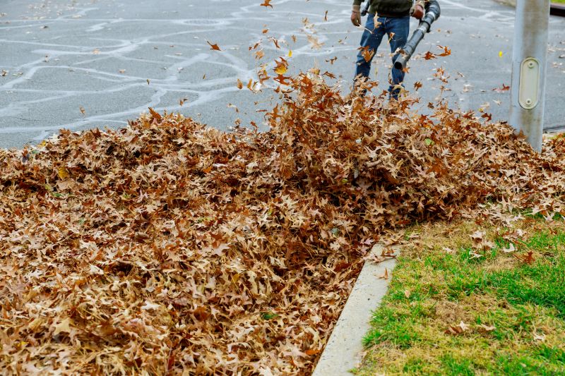 Leaf Removal Service at Work