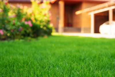 Commercial Lawn Care detail