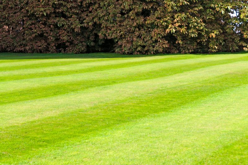 Summer Lawn Maintenance