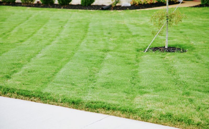 Finished Lawn with Edges