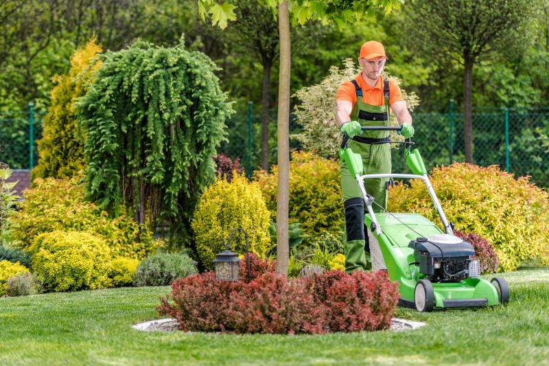 Lawn Care Consultation