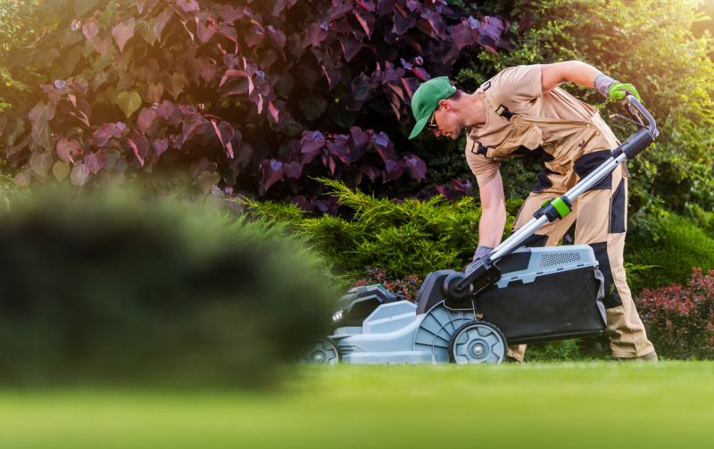 Local Lawn Care Experts