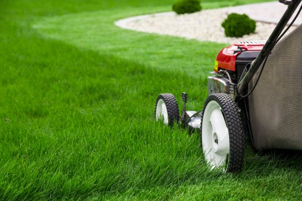 Grass Cutting Service in Easton