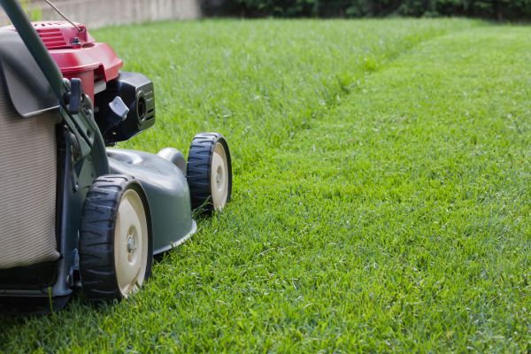 Lawn Care Service in Easton
