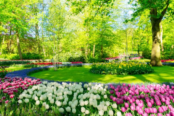 Spring Lawn Care in Easton