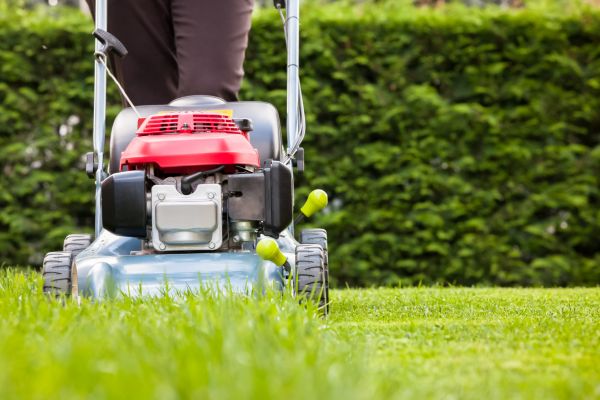 Grass Trimming Service in Easton