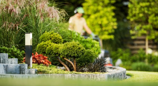 Cost of Residential Yard Maintenance in Easton