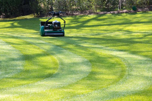 Cost of Business Lawn Mowing in Easton