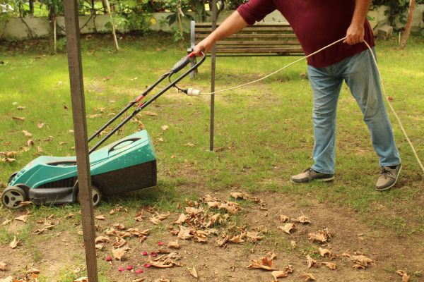 Cost of Leaves Mowing in Easton